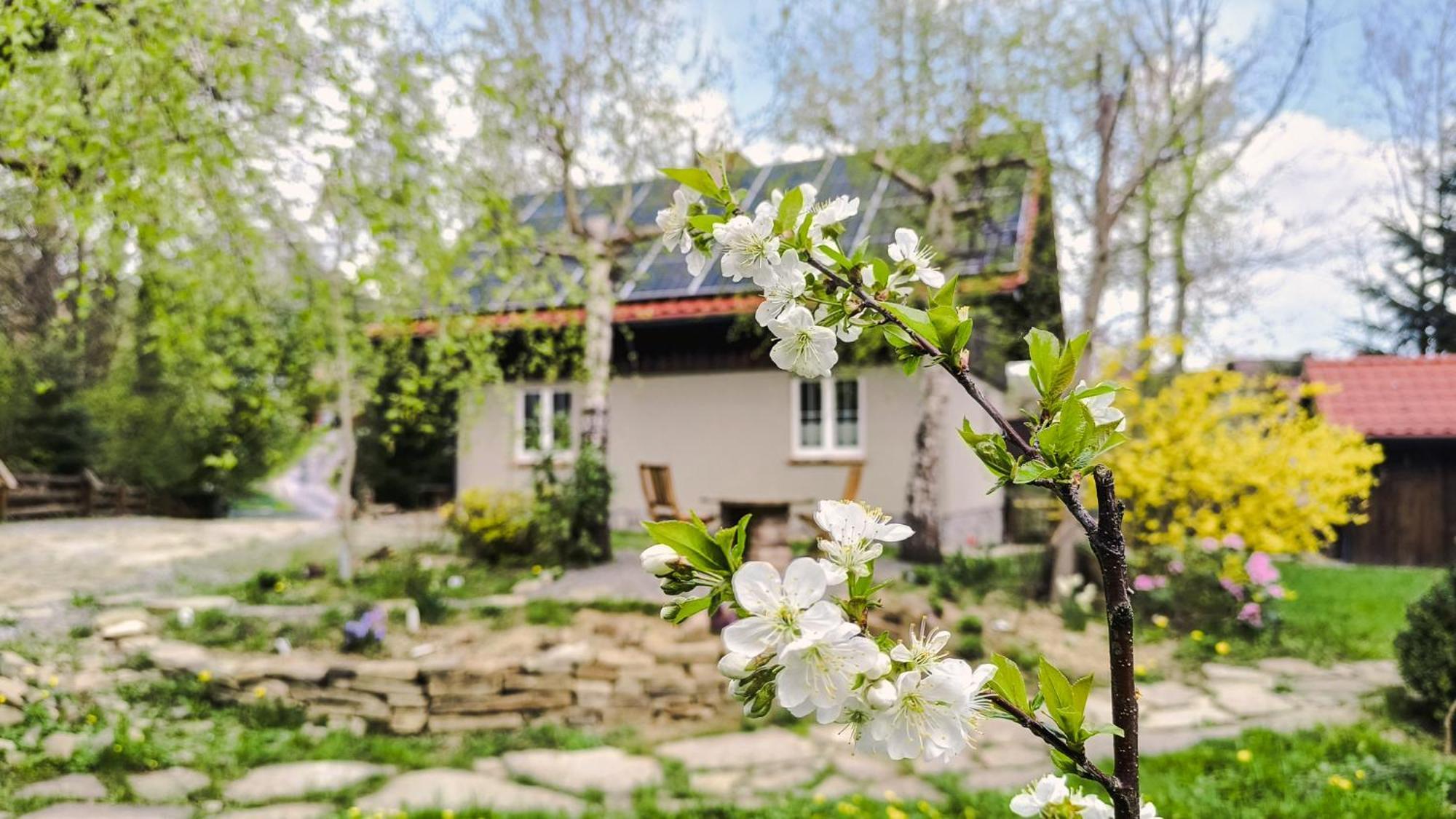 Dom Nad Potokiem Z Sauna Lipowa Exterior foto